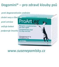 Dogomini ®