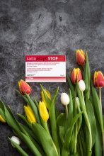 LactoAdapt STOP