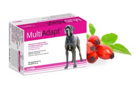 MultiAdapt®