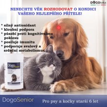 DogoSenior®