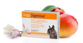 DogoDigestive ®