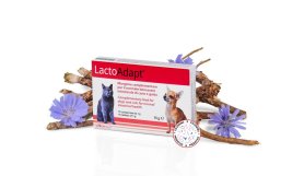 LactoAdapt®