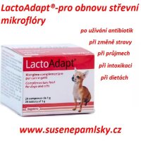 LactoAdapt®
